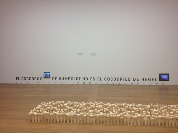 José Alejandro Restrepo - El cocodrilo de Humboldt no es el cocodrilo de Hegel (Humboldt’s Crocodile Is Not Hegel’s Crocodile, 1994), Media art installation with 2 monitors and text, on view in "Cantos Cuentos Colombianos", Casa Daros
